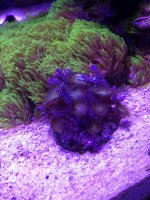 IMG_4544.jpg