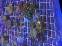 IMG_1997.jpg