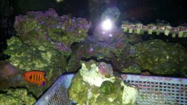 20160125_212624.jpg