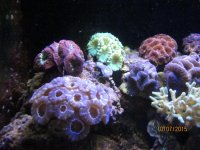 IMG_2536.jpg
