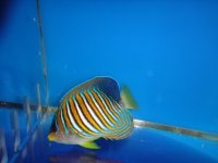 DSC01366.jpg