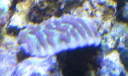 IMG_2509.jpg
