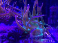 IMG_0102.JPG