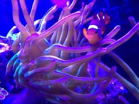 IMG_0103.JPG