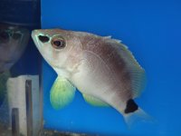 DSC01396.jpg
