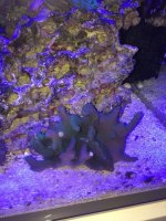 thumb_IMG_0077_1024.jpg