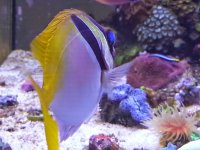 20150420_162314.jpg