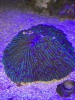 thumb_IMG_0080_1024.jpg