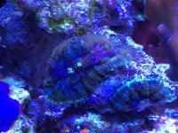 IMG_1143.jpg