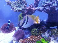 20150620_105845-01.jpeg