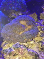 thumb_IMG_0089_1024.jpg