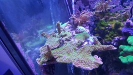 20160101_195037.jpg
