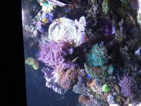 20160127_235830.jpg