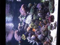 20160127_235814.jpg