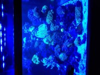 20160127_235527.jpg