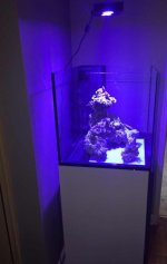 IMG_4162.jpg