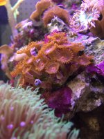 IMG_1551 copy.jpg