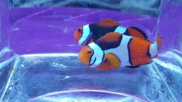 20151209_234055.jpg