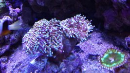 20160128_114118.jpg