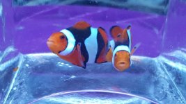 20151209_234053.jpg