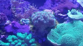 20160128_165736.jpg