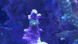 20160128_165727.jpg