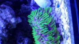 20160127_204425.jpg