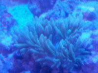 20151210_073241.jpg