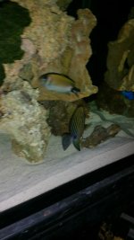 20150809_222607_resized.jpg