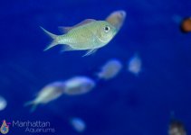 IMG_7102.jpg