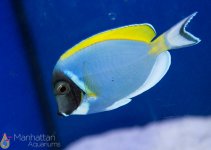 IMG_7104.jpg