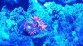 20150612_195707_resized.jpg