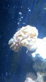 20150612_195810_resized.jpg