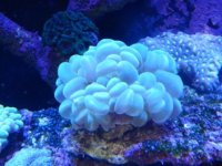 DSCN4490.JPG