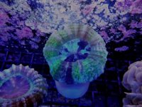 DSCN4509.JPG