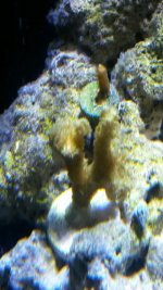 20150612_195816_resized.jpg