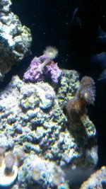 20150612_195834_resized.jpg