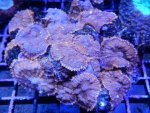 DSCN4520.JPG