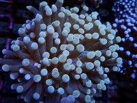 DSCN4318.jpg