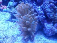 DSCN4525.JPG