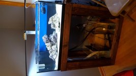 20160318_214858.jpg