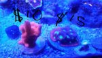 2015-05-10_02.16.31.jpg