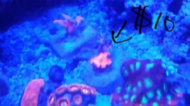 2015-05-10_02.20.36.jpg