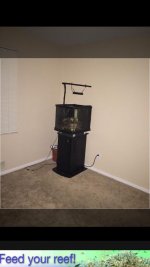 image1.jpg