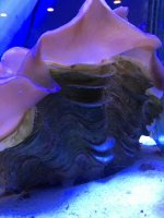 IMG_3587.jpg