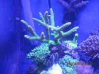 IMG_1103.jpg