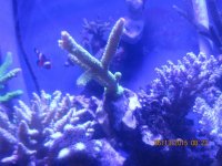IMG_1104.jpg