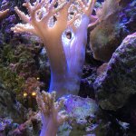 IMG_3585.jpg