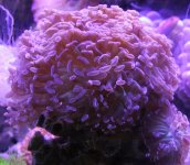 IMG_8346.jpg