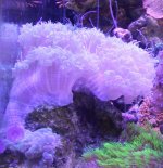 IMG_8333.jpg